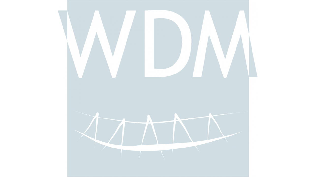 21. Wrocławskie Dni Mostowe logo