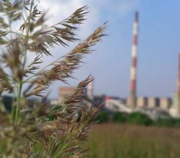 Dziś 306 MW z węgla, w planach 630 MW z gazu. Co powstanie w Sierszy? avatar