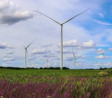 Enea ma więcej zielonej energii. Kupiła dużą farmę wiatrową avatar