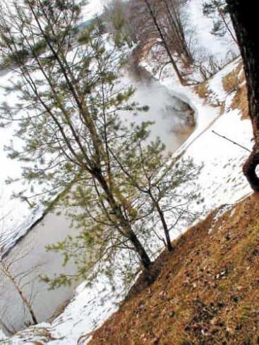 Polska droga przed Trybunał avatar