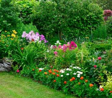 Gliwice wspierają małą retencję. Dotacje dla mieszkańców avatar