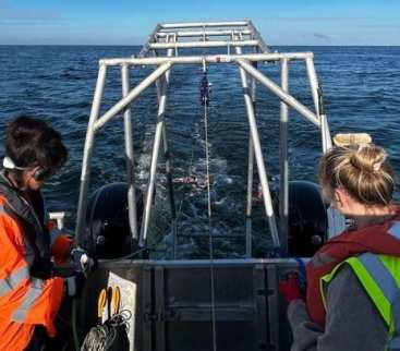 Ocean Winds z trzecim statkiem do badań na morzu. Sprawdzi trasę kabli avatar