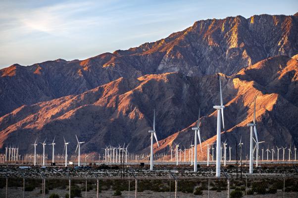 Zdjęcie Elektrownia wiatrowa Palm Springs w Kalifornii (USA). Fot. Mel Stoutsenberger / Adobe Stock