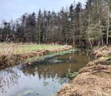 Poziom Jeziora Głębokiego będzie podnoszony. Trwa pompowanie wody