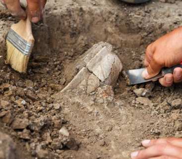 Archeolodzy zbadają obszar dróg wokół lotniska CPK avatar