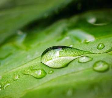 Ostrowiec Świętokrzyski inwestuje w zielono-niebieską infrastrukturę avatar