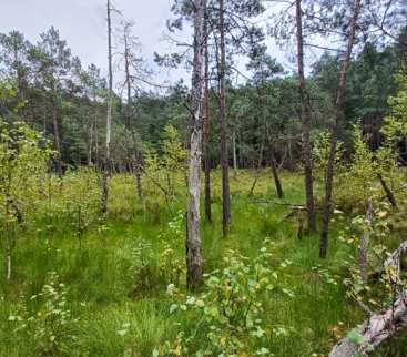 Olsztyn: rezerwat powiększony – lepsza ochrona zasobów wodnych avatar