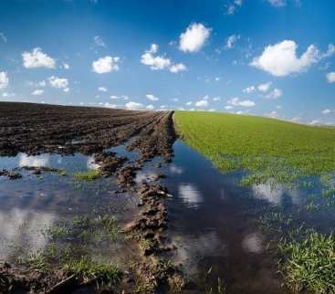 Roztopy po zimie – co oznaczają dla gospodarki wodnej w rolnictwie? [FILM] avatar