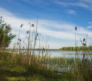 Rewitalizacja Zalewu Sulejowskiego: podpisano umowę na prace dokumentacyjne avatar