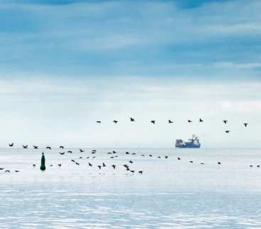 Pływający terminal LNG. Budowa wkracza w kluczową fazę avatar