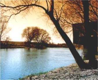 W kranach rzeszowskich mieszkań woda czysta jak kryształ avatar