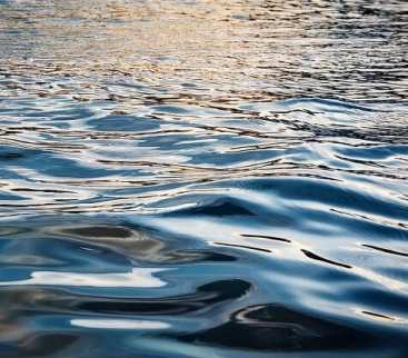 Wody Polskie: modernizacja zbiornika Dzierżno Duże. Jest oferta na studium avatar