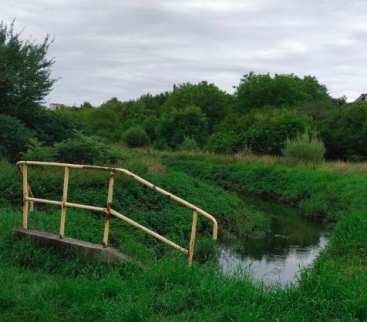 Szczecin. Niedrożny przepust spowodował podtopienia. Czas na naprawę avatar