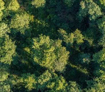 Elektrownia jądrowa w Polsce – tak ochronią przyrodę przed budową [FILM] avatar