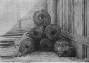 Drewniane rury wodociągu założonego przez Edwarda Raczyńskiego, odkryte podczas prac ziemnych w Poznaniu. Wrzesień 1930 r. Fot. Narodowe Archiwum Cyfrowe