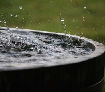 Deszczówka – zatrzymać wodę w miejscu jej opadu avatar