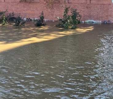 Ochrona Brzegu przed powodzią. Wody Polskie chcą dać Odrze więcej miejsca avatar