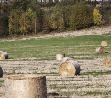 Jaki będzie udział biopaliw w transporcie? avatar