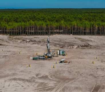 Przygotowania do budowy elektrowni jądrowej. Na początek wycinka avatar