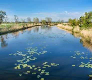 Żuławy Wiślane: 30 mln zł na wzmocnienie ochrony przeciwpowodziowej avatar