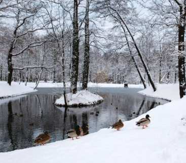 W Gliwicach powstanie zielono-niebieska infrastruktura avatar