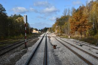 Tory kolejowe w rejonie stacji Stąporków. Fot. Izabela Miernikiewicz/PKP PLK