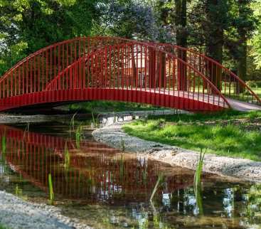 GWiOP 2025. Zielono-niebieska strategia Czechowic-Dziedzic – na czym polega? avatar