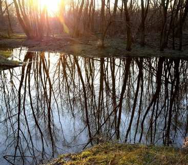 Ciek Starowiejski do przebudowy? Wody Polskie planują inwestycję w Pszczynie. Jest oferta avatar