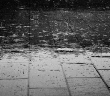 Stormwater Poland 2019. Będzie debata z urbanistami avatar