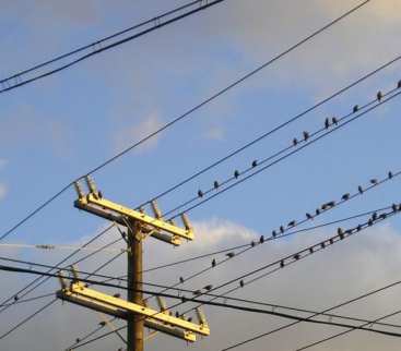 Ile osób w 2014 r. zmieniło sprzedawcę prądu? avatar