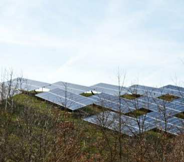 Rząd nie ma podstaw merytorycznych do odrzucenia &bdquo;poprawki prosumenckiej&rdquo; avatar