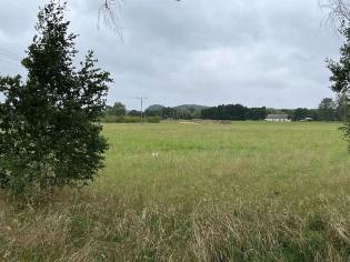 Wykopaliska archeologiczne. Fot. GDDKiA