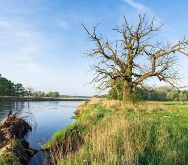 Retencja w Wielkopolsce za ponad 1 mld zł. 15 instytucji łączy siły avatar