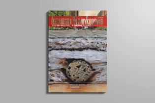 Inżynieria Bezwykopowa, wydanie numer 65