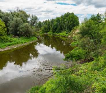 Renaturyzacja i retencja na obszarze działania RZGW w Krakowie  avatar