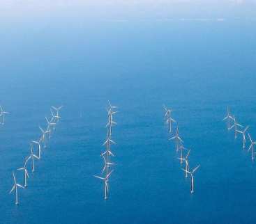 Holandia wybuduje największą farmę wiatrową na morzu avatar