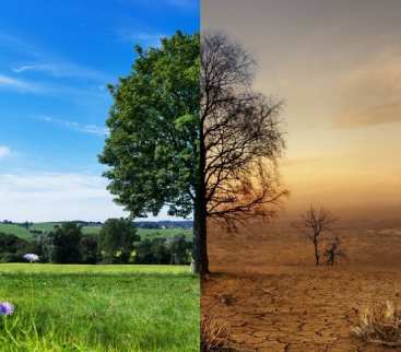 Nowe badania zmiany klimatu w Polsce: więcej upałów, mniej mrozów avatar