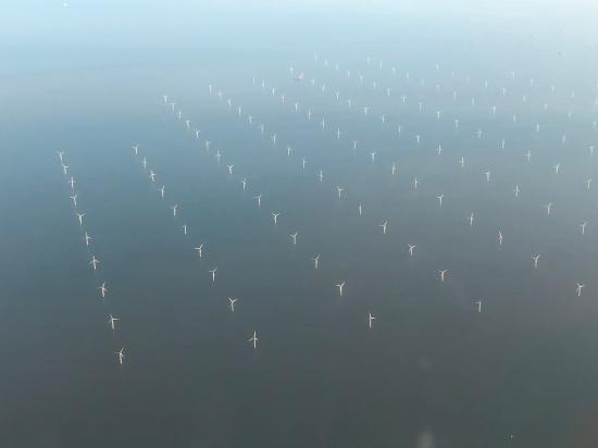 Zdjęcie Zespół morskich elektrowni wiatrowych London Array w hrabstwie Kent, u ujścia Tamizy do Morza Północnego (Wielka Brytania). Fot. Bodgesoc / Wikipedia Commons