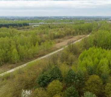 Podkarpacie. Ostatni etap budowy DW869 do autostrady A4 avatar