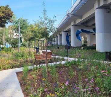 Pod torami zakwitła zieleń. Kraków stawia na małą retencję avatar