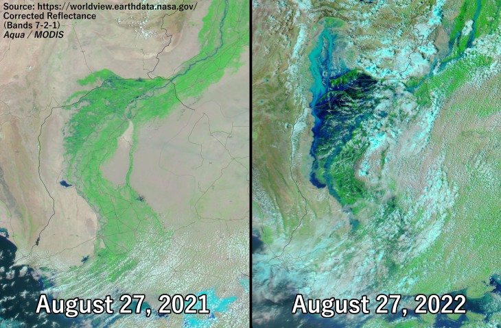 Prowincja Sindh. Fot. NASA