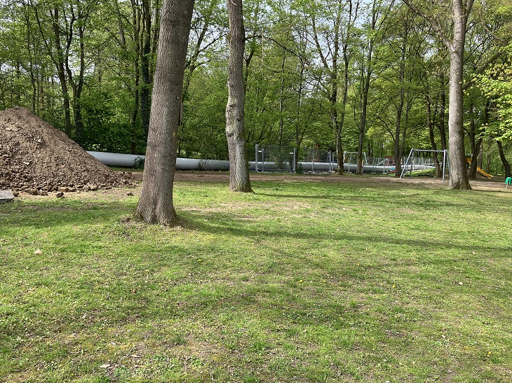 Volkspark w Springe to zielona oaza z dojrzałymi drzewami, która nie została w żaden sposób uszkodzona przez wymianę rur