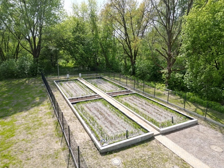Projekt Liściasta Zachód w Łodzi. Fot. Ecol-Unicon