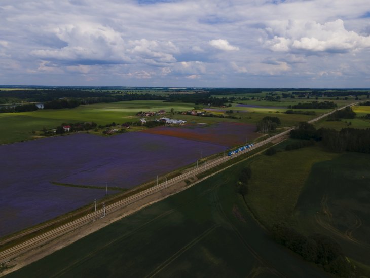 Linia kolejowa Poznań–Szczecin. Fot. Łukasz Bryłowski/PKP PLK