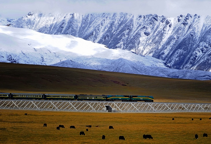 Qinghai–Tibet Railway. Fot. Jan Reurink / Wikipedia Commons