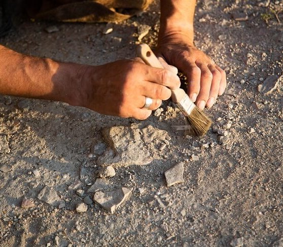 CPK zleca badania archeologiczne przed budową dróg wokół lotniska