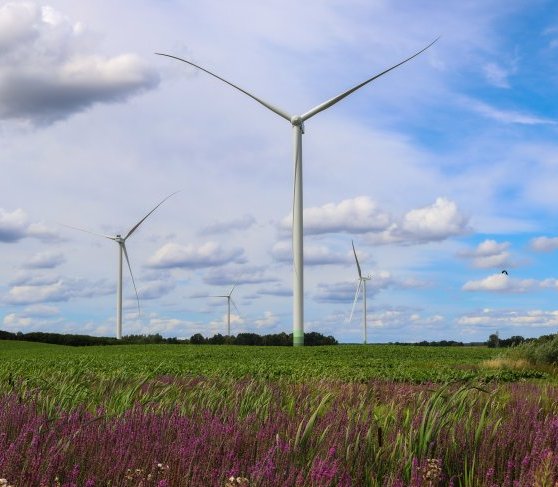 Enea ma więcej zielonej energii. Kupiła dużą farmę wiatrową