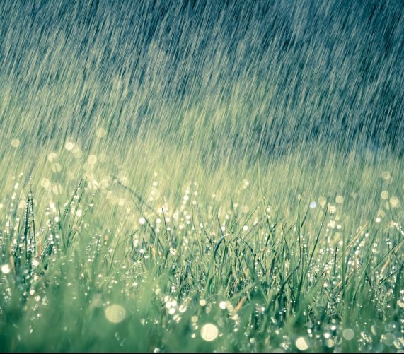 Opady deszczu Fot. Shutterstock