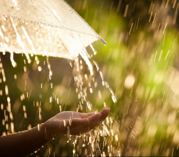 Co tak naprawdę znajduje się w wodzie z deszczu? Fot. Shutterstock