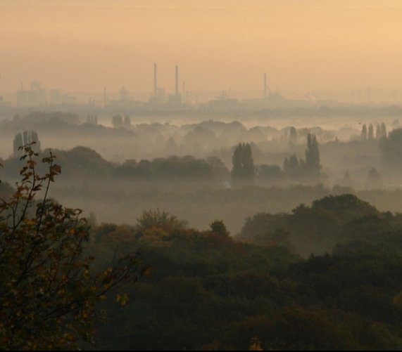W Polsce alarm smogowy powinien obowiązywać tygodniami? Fot.  Pixabay